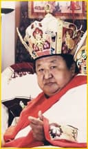 His Holiness Shenphen Dawa Rinpoche